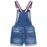 Jardinera Denim