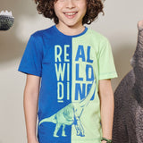 Polera Dino Reversible Bicolor