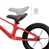 Bicicleta de equilibrio Eter