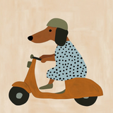 Ticket Concurso Perrito en Moto