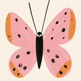 Ticket Concurso Mariposa Rose