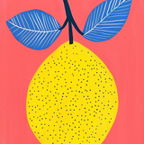 Ticket Concurso Lemon Colors