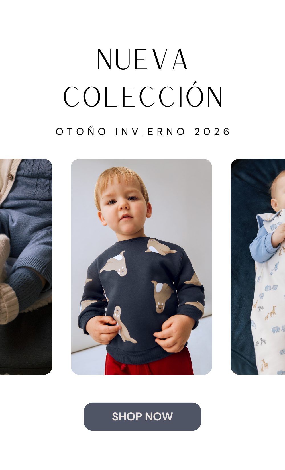 Imagen de diapositiva